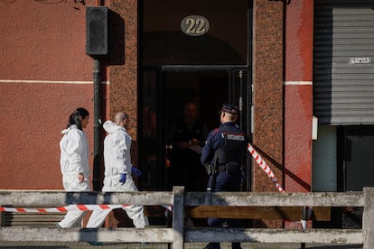 Miembros de la Ertzaintza e investigadores en el domicilio donde se ha perpetrado el crimen.
