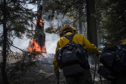 Bomberos trabajando en la extinción de `Bootleg`, uno de los incendios más grandes en la historia de Oregón. 