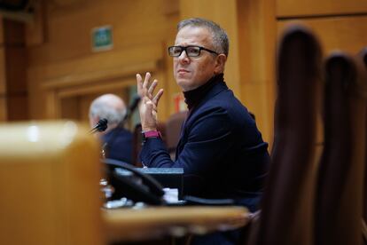 El presidente del Senado, Ander Gil, durante el pleno de este jueves.