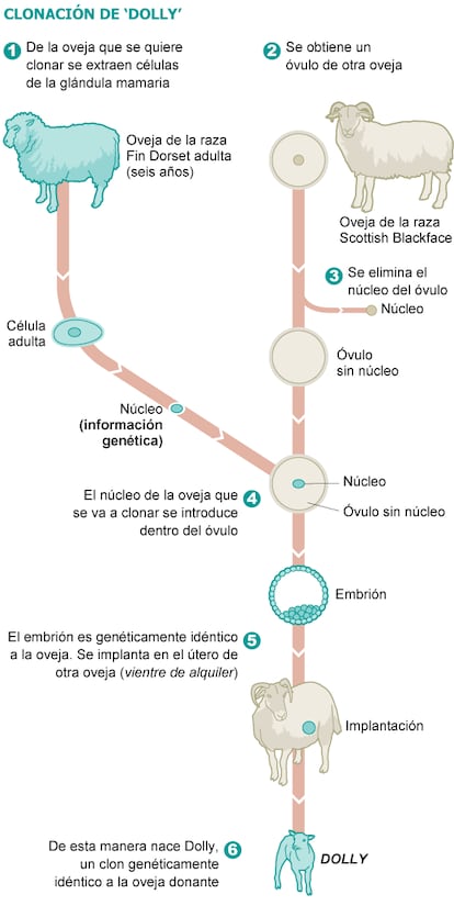 Fuente: elaboración propia.