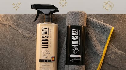 cera de carnaúba para el coche