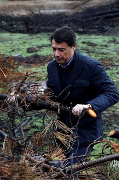 González retira un tronco quemado durante su visita.