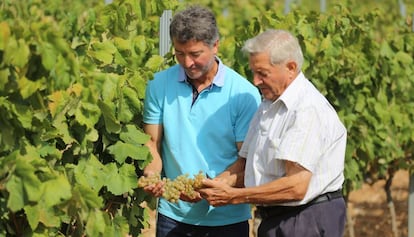 Marcel Sabaté y su padre, contemplando unas uvas de sus viñedos.