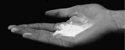 La cocaína es un alcaloide que se obtiene de la planta de coca. Estimula el sistema nervioso.