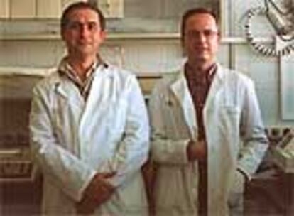 José Vicente Castell y Ramiro Jover (derecha), de la unidad de hepatología experimental de La Fe de Valencia.