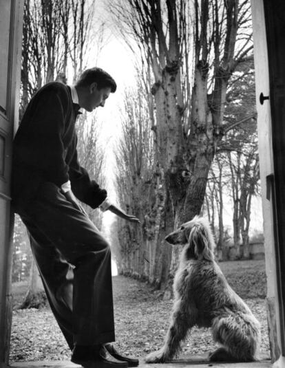 El diseñador francés con su perro, un galgo afgano, en 1955.