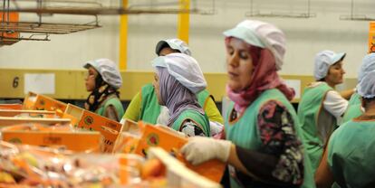 Trabajadoras con velo en una cooperativa de Lleida