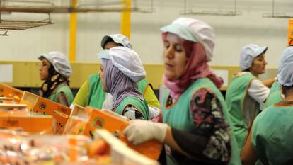 Trabajadoras con velo en una cooperativa de Lleida