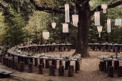 Montaje de un banquete de boda en mitad de un bosque.
