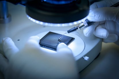 Un trabajador revisa pequeños chips electrónicos en un laboratorio.