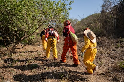 La tradición indica que los Tecuanes, deben caminar más de dos horas por un camino pedregoso, empinado y de difícil acceso para llegar al punto más alto del cerro.