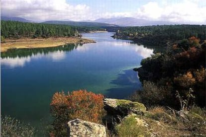 El río Lozoya, a su paso por el pinar de la finca de Las Gariñas. En la otra orilla, la dehesa de El Bosque.