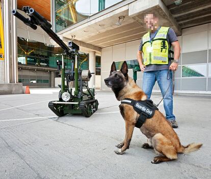 El equipo de detección de explosivos de la Guardia Civil forma parte de los medios de seguridad con los que cuenta el aeródromo de Barajas. Guías, perros y técnicos de desactivación están entrenados para detectar y controlar cualquier posible amenaza.
