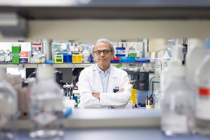 Josep Maria Llovet, investigador principal del ensayo clínico, posa en los laboratorios del Idibaps en Barcelona.