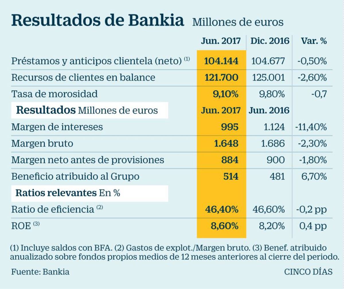 Bankia gana el 6,7% más pese a una caída del margen del 11,4% ...