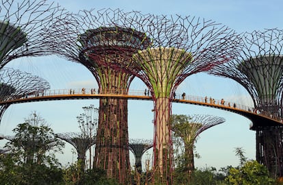 <b>OCBC SKYWAY, SINGAPUR / GRANT ASSOCIATES. </b>Una gran pasarela a 22 metros del suelo, un paseo de 128 metros de largo que descubre con vista aérea los Jardines de la Bahía (Gardens by the Bay), en Singapur, un parque con 101 hectáreas con cascadas, lagos y plantas tropicales. Una de las atracciones son los 18 súper árboles de entre 25 y 50 metros de altura. La pasarela conecta dos de estas estructuras. Se puede visitar entre 9.00 y 21.00 (entrada, 2,90 euros por persona).