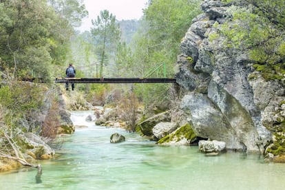 Puente sobre el r&iacute;o Borosa, en el parque natural de las Sierras de Cazorla, Segura y la Villas (Ja&eacute;n). 