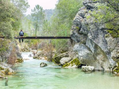 Puente sobre el r&iacute;o Borosa, en el parque natural de las Sierras de Cazorla, Segura y la Villas (Ja&eacute;n). 