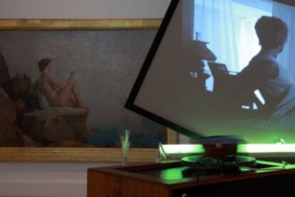 Una imagen de <i>Anthemoessa</i>.