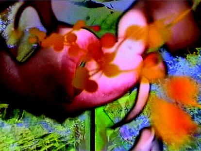 Imagen del vídeo 'I want to see how you see', de Pipilotti Rist.