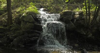 Río Barbaña, a su paso por San Cibrao das Viñas.