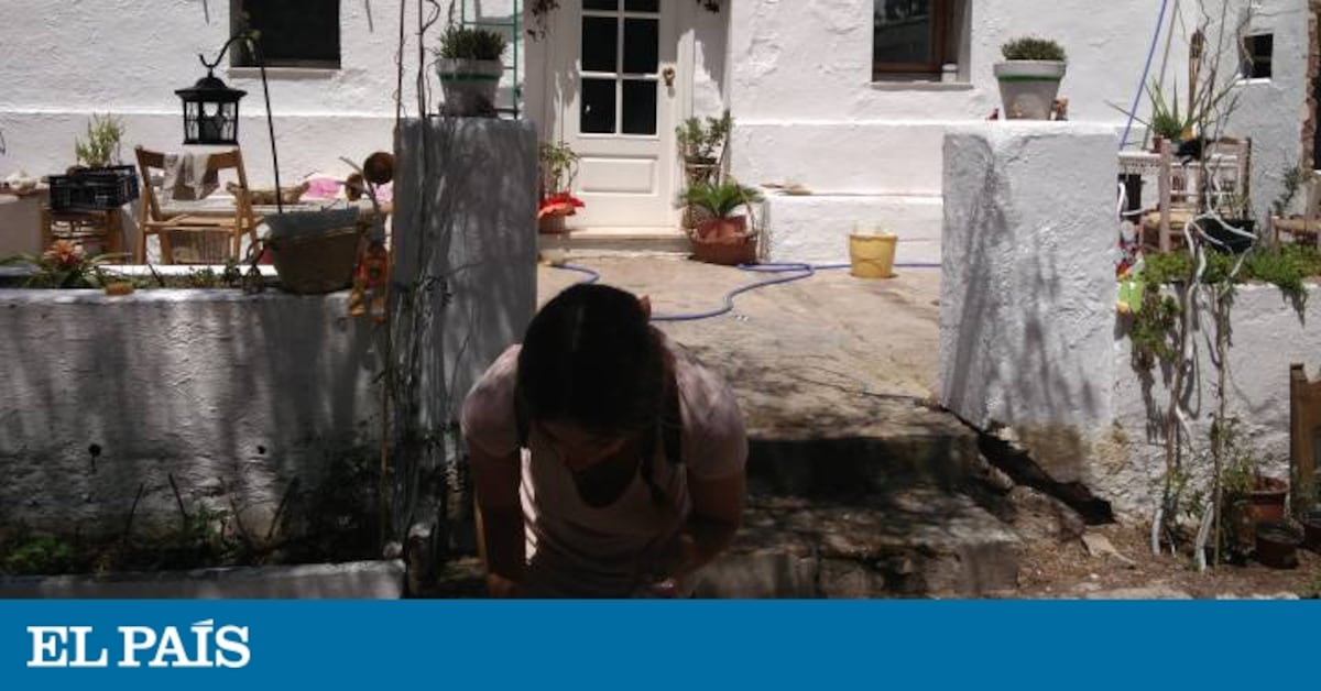 elpais.com