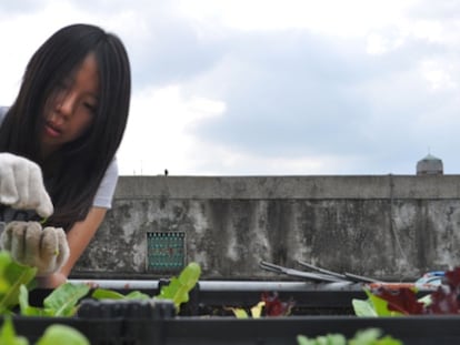 La granja-azotea Jiajiajiu en Taipei.