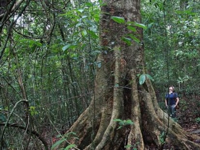 El laboratorio natural más grande del mundo