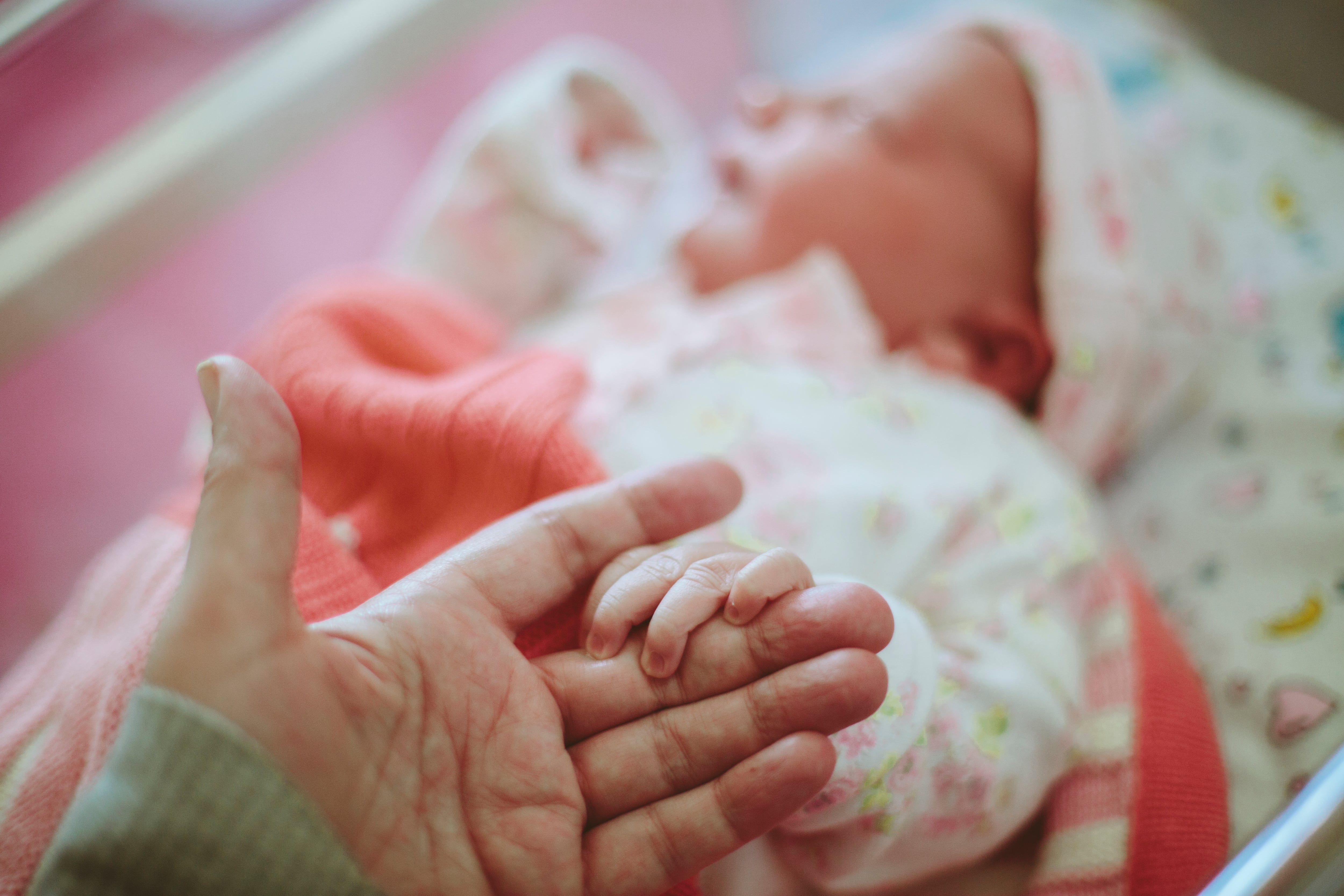 La locura de tener hijos como acto de esperanza y resistencia