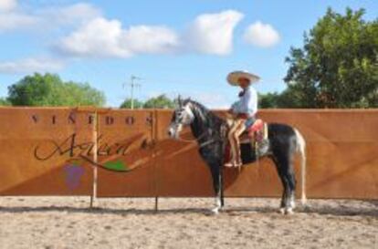 Charro en el coso de Viñedos Azteca.