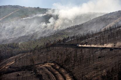 Vista de la superficie calcinada como consecuencia del incendio forestal que se inició ayer en Verín, (Ourense), que ha alcanzado las 1.200 hectáreas a pesar del trabajo de las casi cuatrocientas personas que intentan controlarlo.