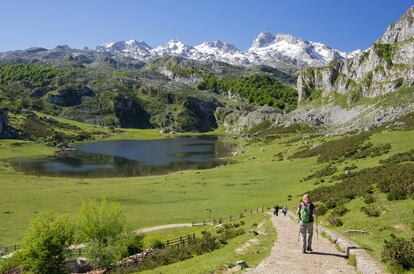 Donde hay un monte suele haber también un camino: una senda por la que hay que subir. Y, cuanto más duro es el desafío, mayor la fascinación. El ascenso de la pared occidental del Naranjo de Bulnes, poderoso monolito de <a href="https://elviajero.elpais.com/elviajero/2018/07/05/actualidad/1530779337_989745.html " target="_blank">los Picos de Europa</a>, de 2.500 metros de altitud, se considera uno de los mayores retos entre los aficionados a la escalada. Pero no hace falta ser un adicto a la adrenalina para poder experimentar la embriaguez de esta cordillera caliza: por estas estribaciones serpentean incontables senderos alpinos. Especialmente espectacular es la ruta del Cares, que une las poblaciones de Caín de Valdeón (León) y <a href="https://www.turismoasturias.es/organiza-tu-viaje/donde-dormir/alojamiento/pensiones/poncebos" target="_blank">Poncebos (Asturias)</a>, 12 kilómetros que conforman una de las rutas de senderismo más impresionantes de España. En la imagen, unos excursionistas en los lagos de Covadonga, en el municipio asturiano de Cangas de Onís.