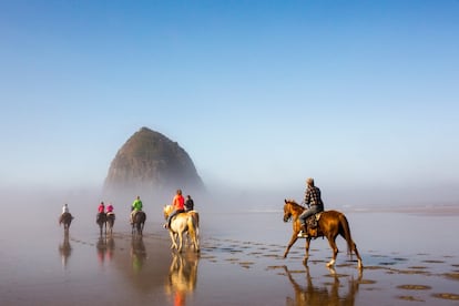 Solo durante la bajamar se puede acceder a pie a Haystack Rock, un monolito de basalto de 72 metros que se alza junto a la playa de Cannon, en la costa de Oregón (EE UU). En su cara norte anidan de abril a julio los frailecillos coletudos, y las charcas intermareales que deja el agua al retirarse forman un ecosistema de anémonas, estrellas de mar, crustáceos y moluscos.