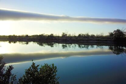 La formación de nubes conocida como gloria matutina vista desde el río Albert cerca de Burketown, en Queensland (Australia).