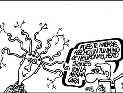 FORGES