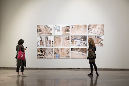 Imagen de la exposición 'El ficus del Parterre' de Ricardo Cases donde se muestra la serie del mismo nombre realizada en 2021.