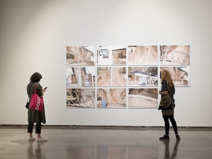Imagen de la exposición 'El ficus del Parterre' de Ricardo Cases donde se muestra la serie del mismo nombre realizada en 2021.