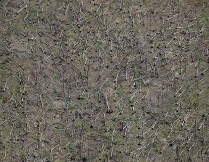 Imagen aérea de una montaña devastada por el tifón Haiyan en la provincia de Leyte (Filipinas), 15 de noviembre de 2013.