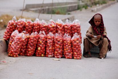 Un niño se sienta junto a las bolsas de tomates mientras los vendía a lo largo de una carretera en Peshawar, Pakistán.