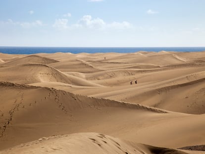 Dunas protegidas de Maspalomas, en la isla de Gran Canaria.