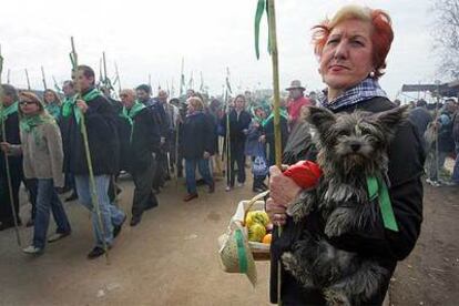 Una mujer que participó con su perro en la tradicional marcha contemplaba ayer el paso de los <b>romeros.</b>