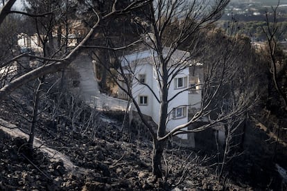 Estado en el que han quedado las urbanizaciones Montepino y Montesol tras el incendio urbano forestal de Llutxent, en Gandía.