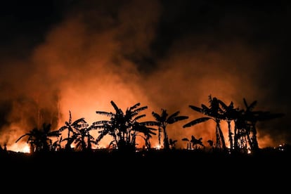 La Amazonía brasileña perdió el agosto pasado 1.698 kilómetros cuadrados de su cobertura vegetal, un área en un 222 % superior a la desforestada en el mismo mes de 2018 según los datos divulgados por el Instituto Nacional de Pesquisas Espaciales. Ciudad de Porto Velho (Brasil)