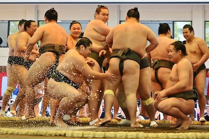 Varios luchadores participan en una exhibición de sumo, en los terrenos del Santuario Yasukuni, en Tokio. Más de un centenar de luchadores compiten este lunes frente a miles de espectadores en el festival anual de primavera Honozumo.