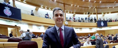 El presidente del Gobierno, Pedro Sánchez, durante la sesión de control al Gobierno en el Senado.