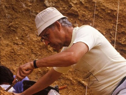 Emiliano Aguirre, durante una excavación en Atapuerca, en una imagen tomada por José María Bermúdez de Castro.