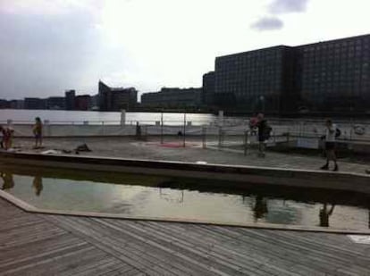 Las aguas del puerto del puerto de Bryggen son aptas para el baño.