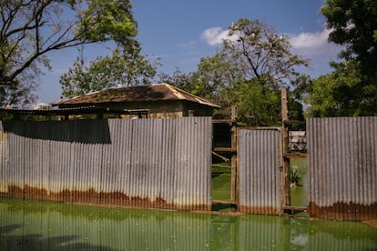 Sudán del Sur, uno de los 10 países más vulnerables al calentamiento del planeta en África, es un microcosmos de los efectos del cambio climático. Con un periodo de lluvias que se extiende desde agosto a diciembre, las inundaciones afectan cada año a entre 750.000 y más de un millón de personas, obligando a la mitad de ellas a abandonar su tierra natal para refugiarse en terrenos más elevados, según Unicef. Las inundaciones de este año son de tal intensidad que los expertos vaticinan que podrían convertirse en las peores de los últimos 60 años. Solo hasta el 10 de octubre, 893.000 personas se han visto ya afectadas, de las que 241.000 han tenido que abandonar sus hogares, según acaba de informar la Oficina de la ONU para la Coordinación de Asuntos Humanitarios (OCHA).

En la imagen, una casa inundada en Bor, capital del Estado de Jonglei, en el centro de Sudán del Sur, a finales de septiembre. Su situación geográfica, a orillas del Nilo Blanco y rodeada por sus afluentes, y su paisaje arcilloso la convierten en la región del país más propensa a las inundaciones.