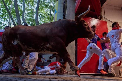 Uno de los astados de Jandilla a su llegada al callejón de la plaza de toros de Pamplona.