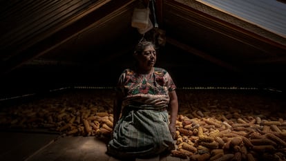 Documentar el presente: 14 mujeres en el fotoperiodismo